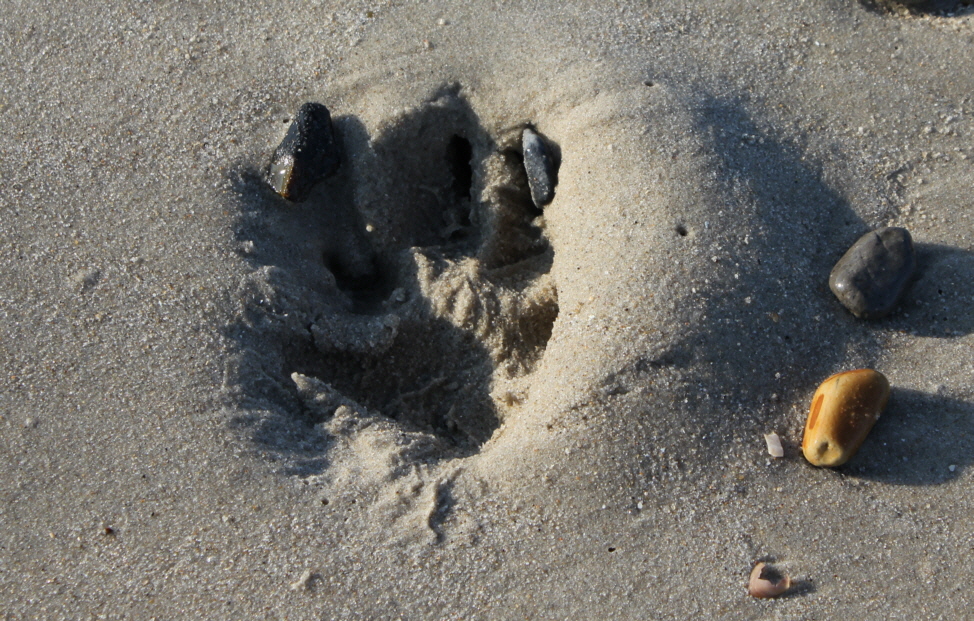 mal so richtig Eindruck hinterlassen ..............