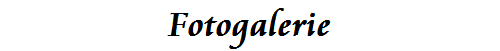 Fotogalerie